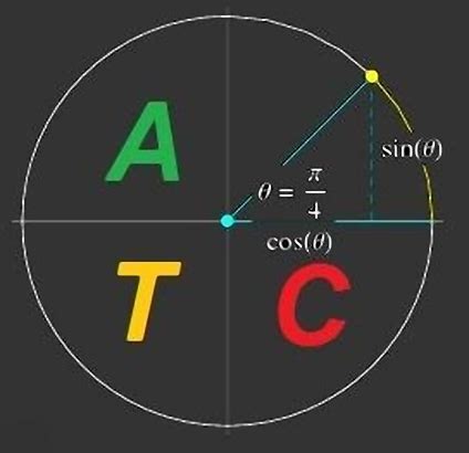 Portable Advanced Trigonometry Calculator 1.8.8 Free Download